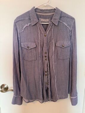 We The Free- Free People Blue and White Pinstripe Button-Down Shirt